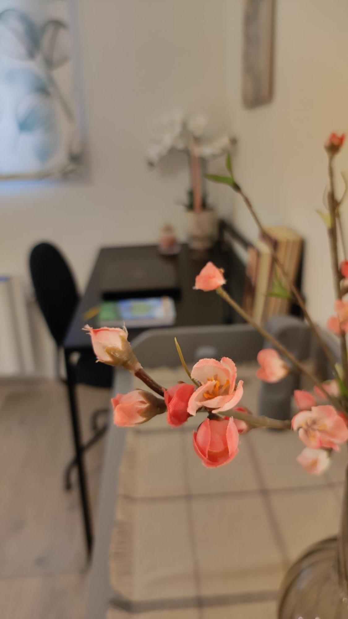 Minoan Gem Apartment كاندية المظهر الخارجي الصورة